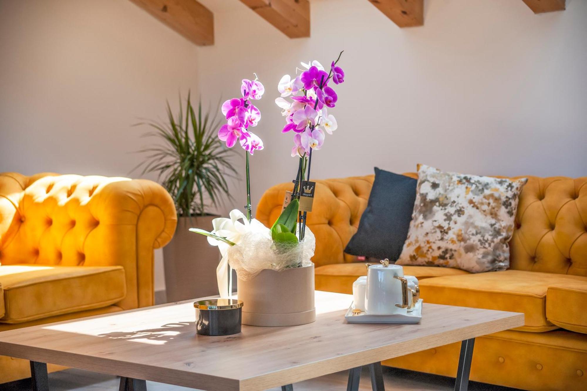 רוביני Boutique Residence Arion חדר תמונה